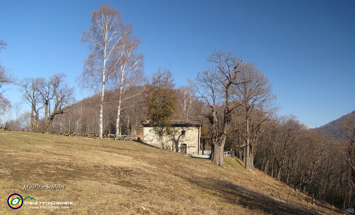 04 La Pratolina, coi suoi castagni centenari....JPG